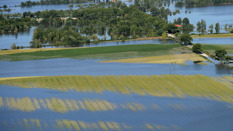 Hétfőig lehet bejelenteni az árvíz okozta mezőgazdasági károkat