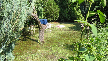 Csőtörés: vízben úsztak a kertek