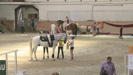 Kaposvári diadal a nemzetközi lovastorna viadalon