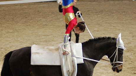 Öt kaposvári arany az év első lovastorna versenyén