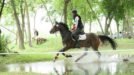 Nemzetközi lovastusa verseny Kaposváron