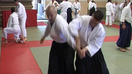 Aikido edzőtábor Kaposváron