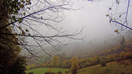 Borongós, ködös, igazi novemberi idő várható