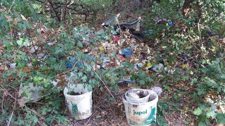 Több száz köbméter hulladék keletkezik évente a somogyi erdőkben