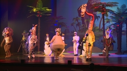 A Csiky Gergely Színház színpadán a Madagaszkár
