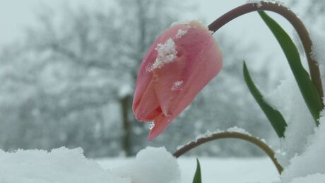 A tavaszias február után jön a télies március?