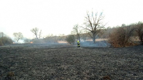 Négy hektáron lángolt az igali nádas