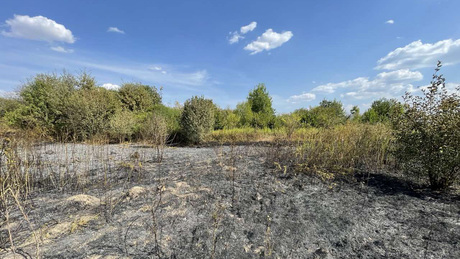 Begyulladt a szemétdomb, rohamosan terjedt a tűz