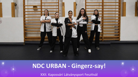 NDC URBAN - Gingerz-say!